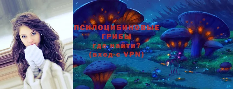 Галлюциногенные грибы Magic Shrooms  как найти закладки  Кемь 